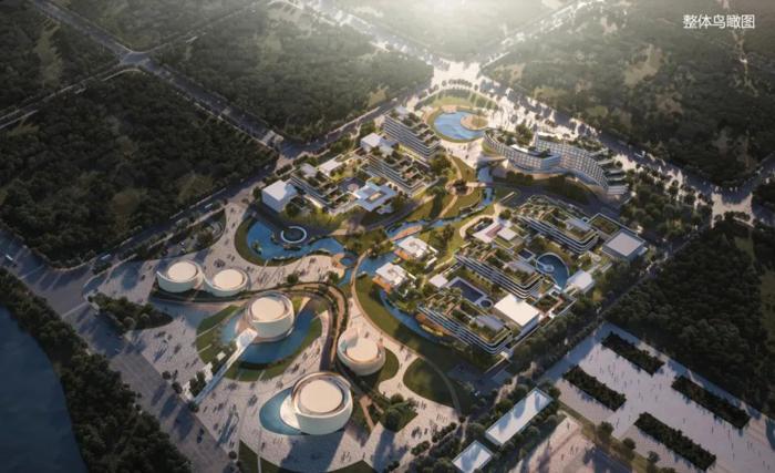 1639655078597971.jpg 图片8_爱奇艺.jpg